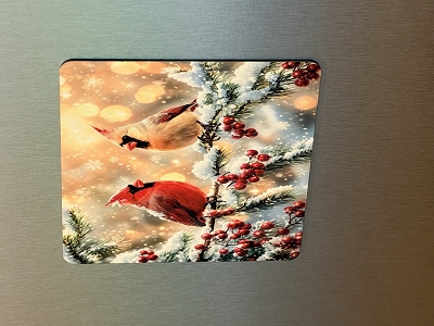Cardinal Couple 3